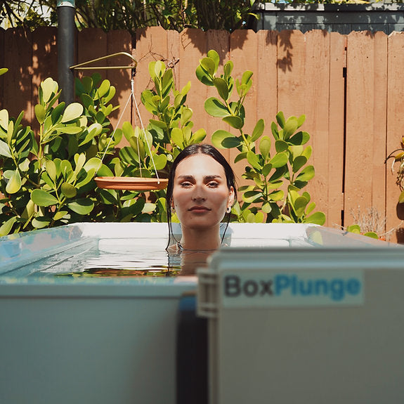 BoxPlunge 14