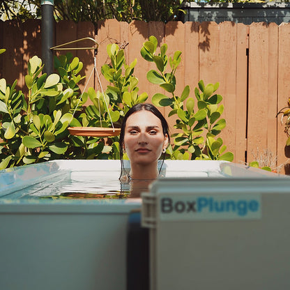 BoxPlunge 14